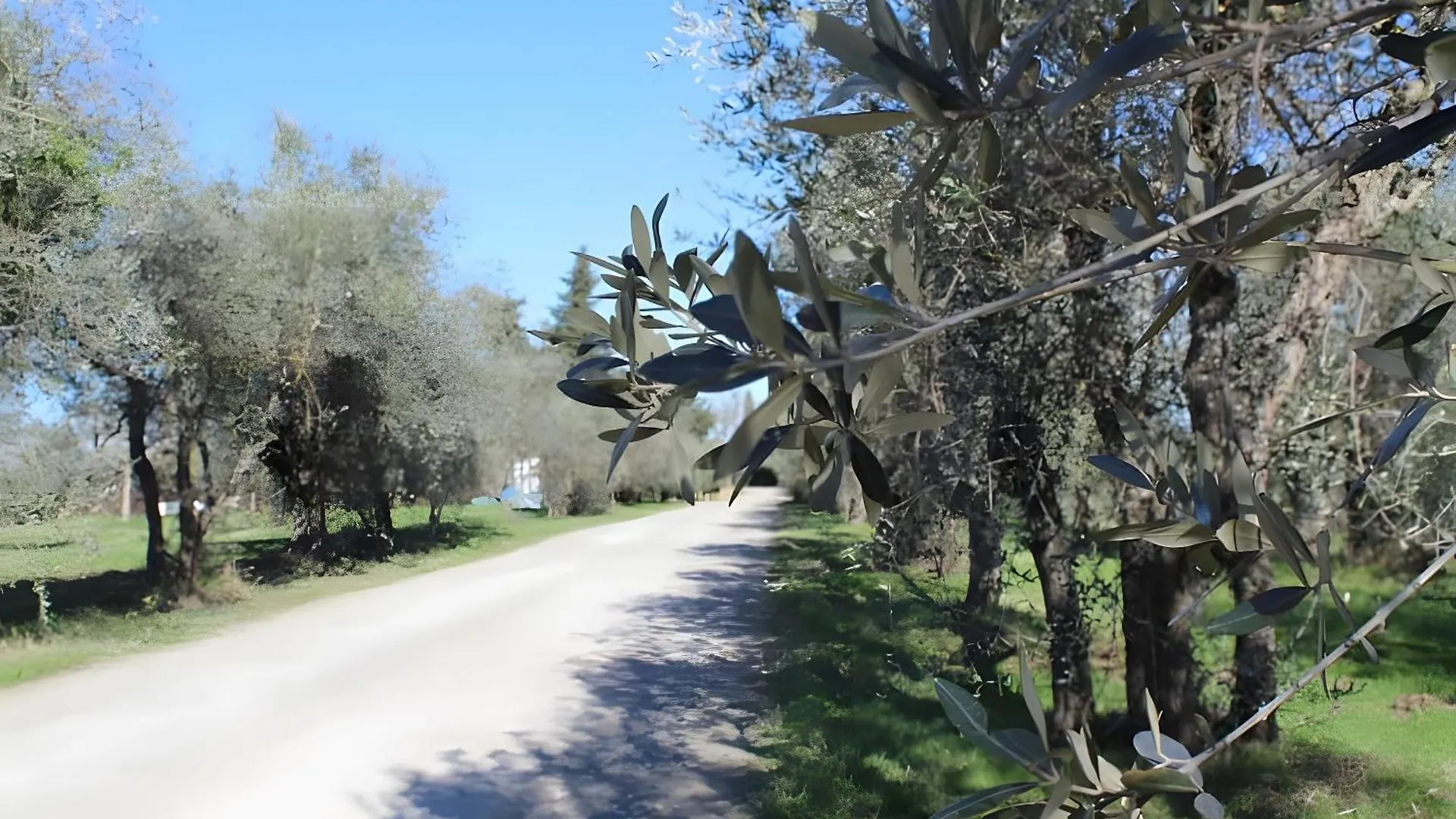 Chianti Un Oasi Di Tranquillita Apartment Tavarnelle Val di Pesa